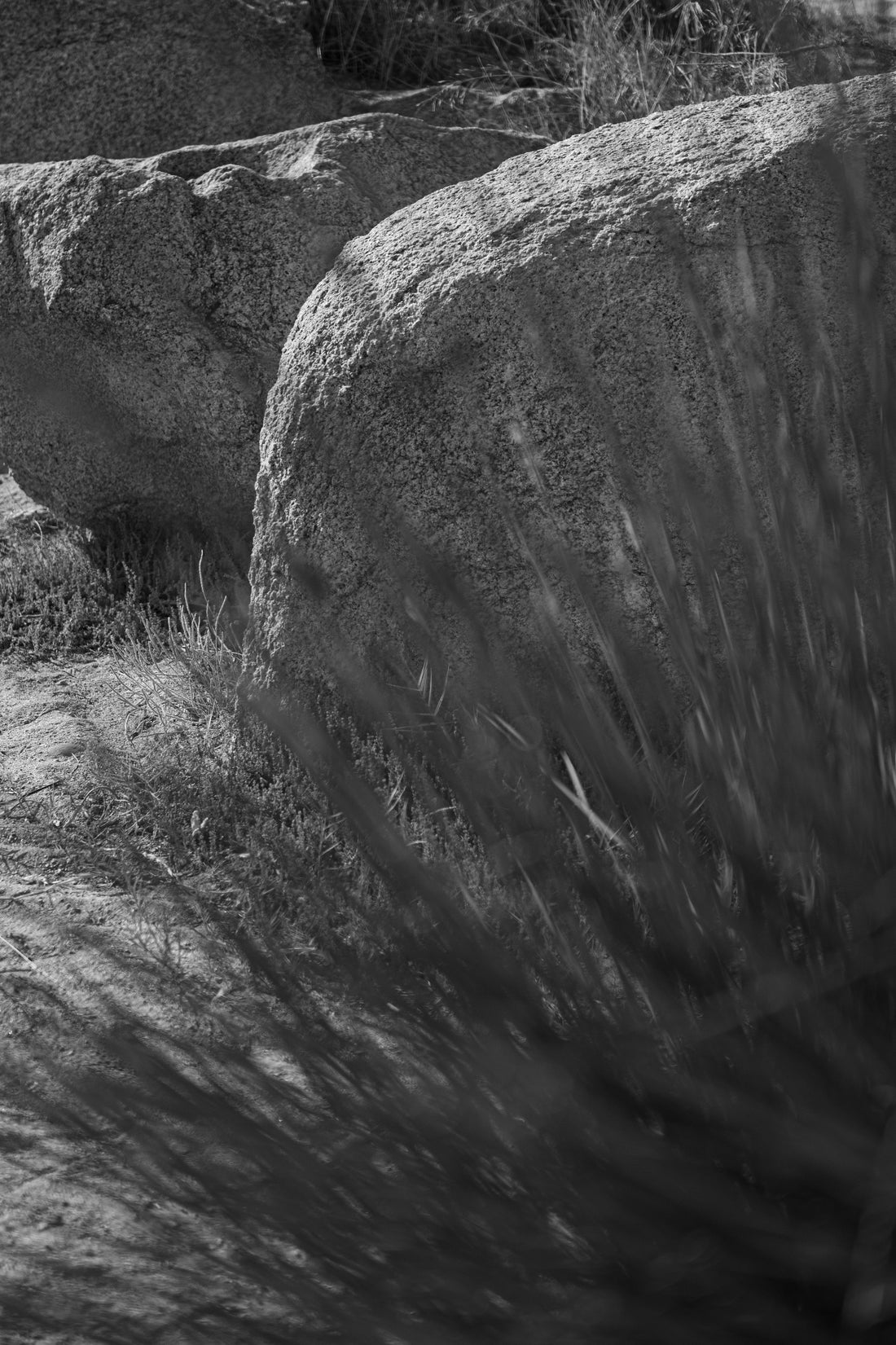 A Complete Guide to Preventing Premature Aging in Desert Climates